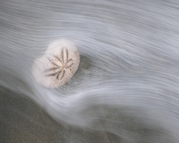 Viktoria Haack Print