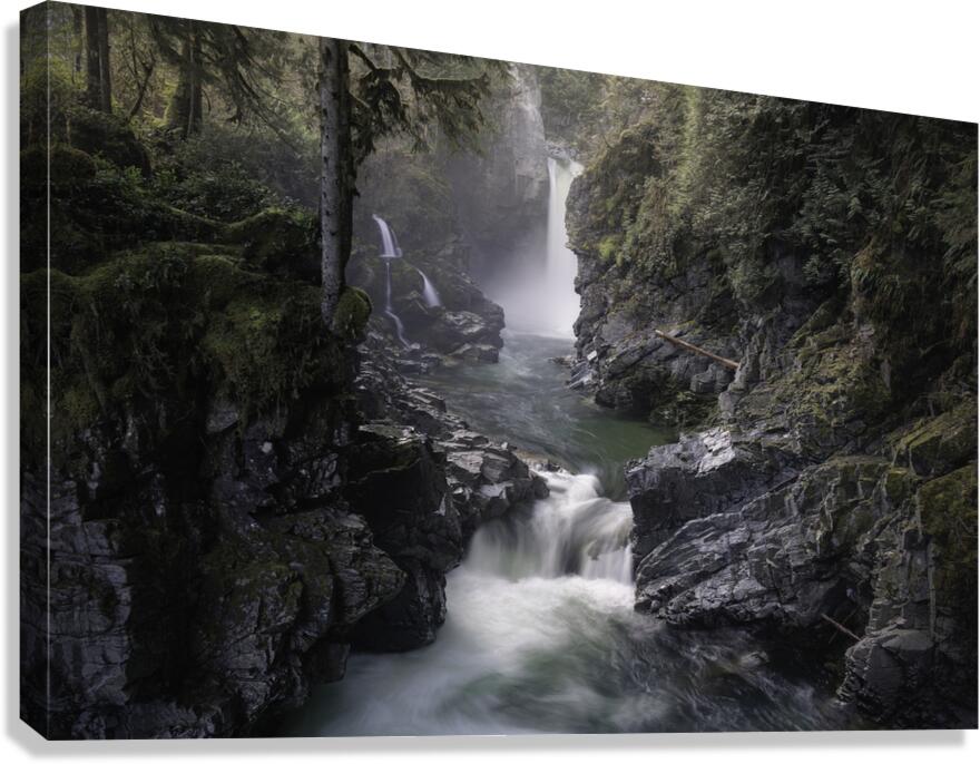 Viktoria Haack Canvas Print