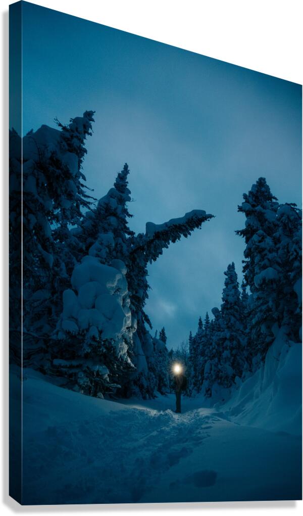 Beatrice Vu Canvas Print