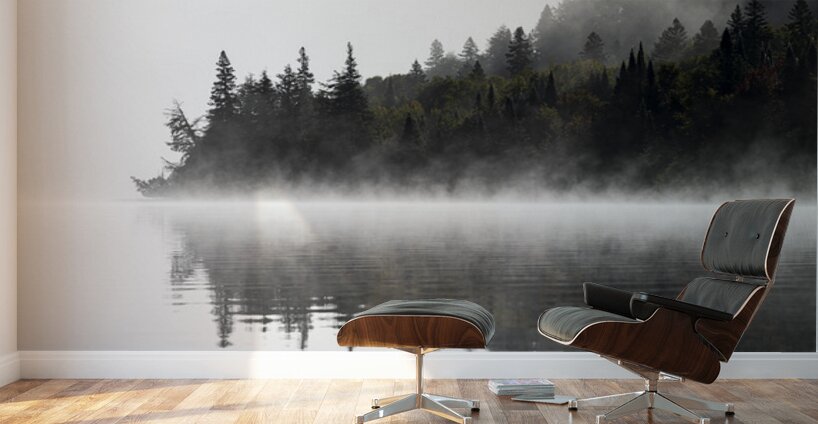 Mark Bernards Wall Murals