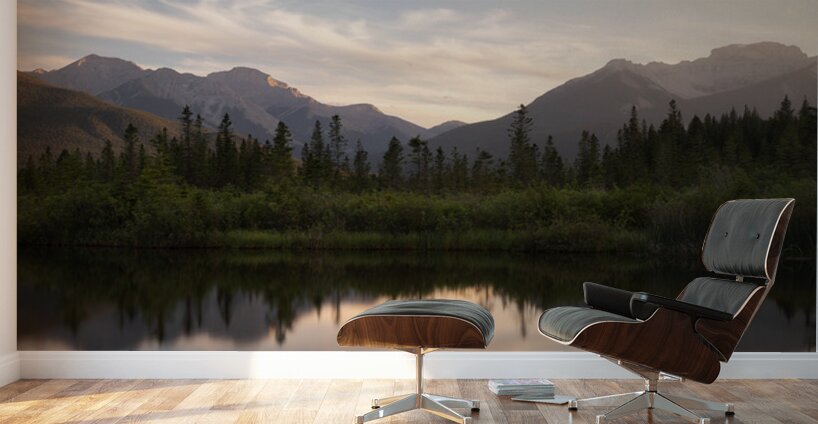 Viktoria Haack Wall Murals