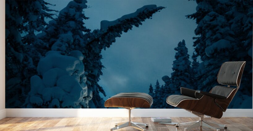 Beatrice Vu Wall Murals