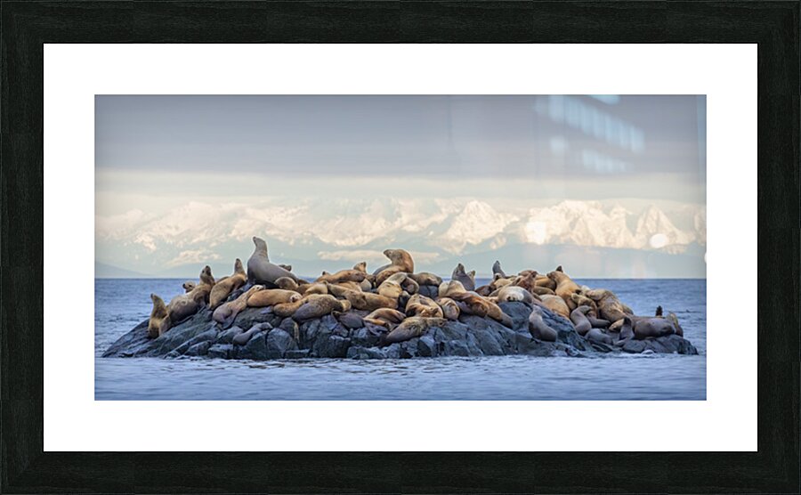 Josh DeLeenheer Picture Frame print