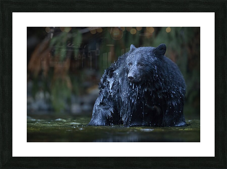 Josh DeLeenheer Picture Frame print