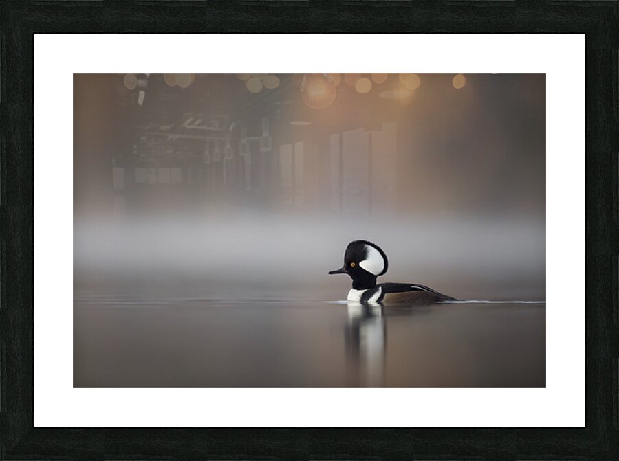 Aaron Todd Picture Frame print