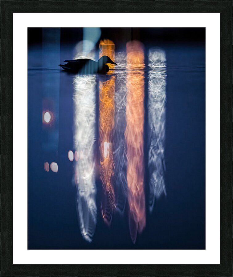 Aaron Todd Picture Frame print