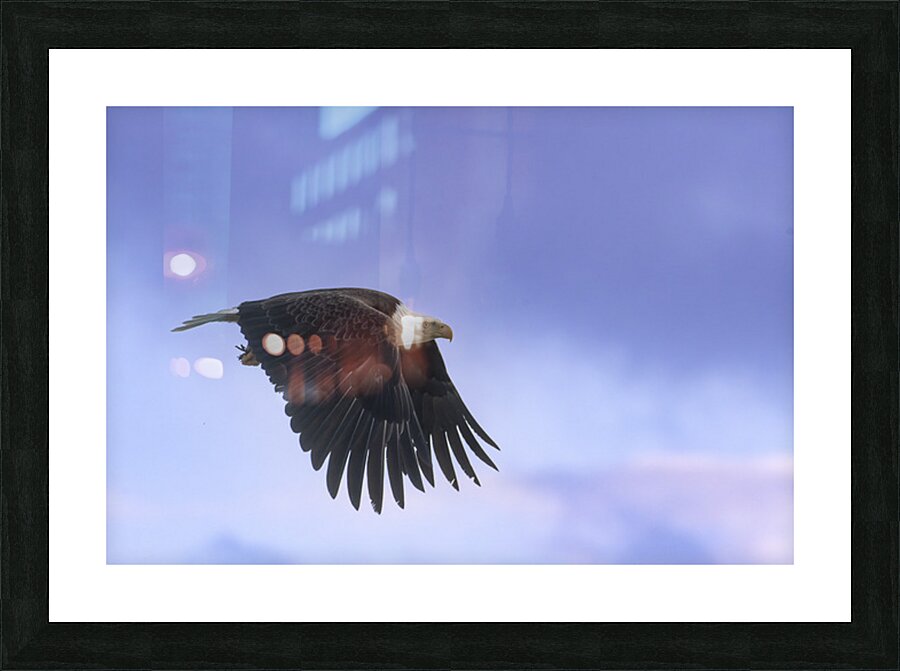 Mark Bernards Picture Frame print