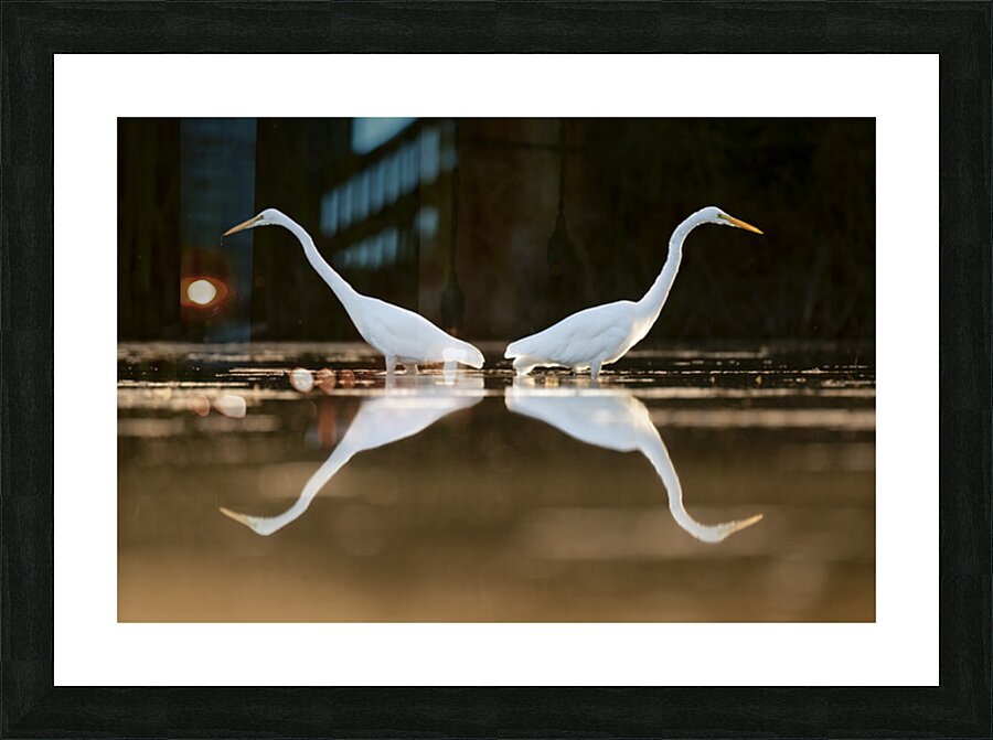 Mark Bernards Picture Frame print