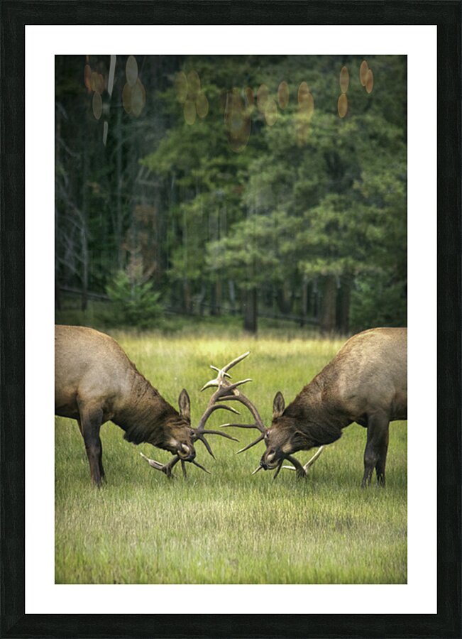 Emma Menchions Picture Frame print