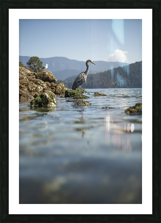 Emma Menchions Picture Frame print