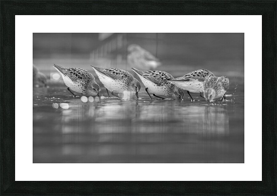 Emma Menchions Picture Frame print