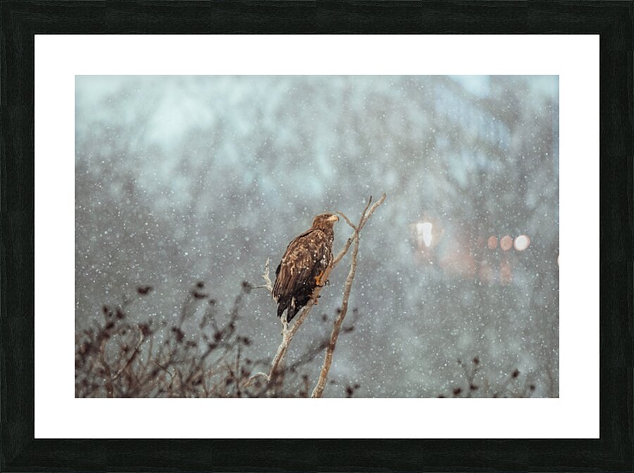 Beatrice Vu Picture Frame print