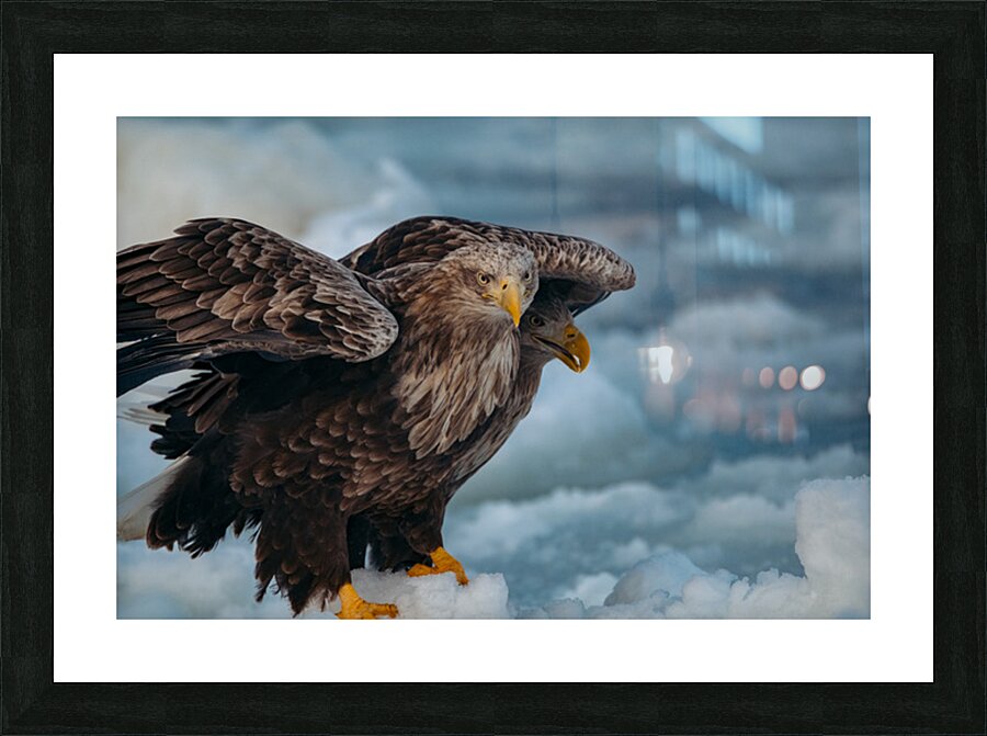 Beatrice Vu Picture Frame print