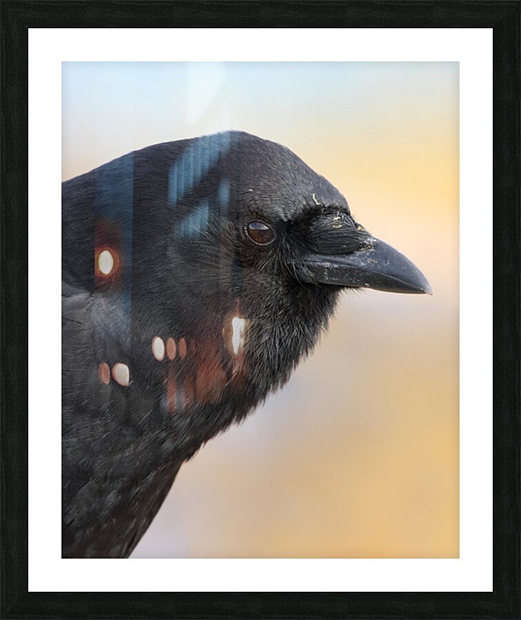 Justin Taus Picture Frame print