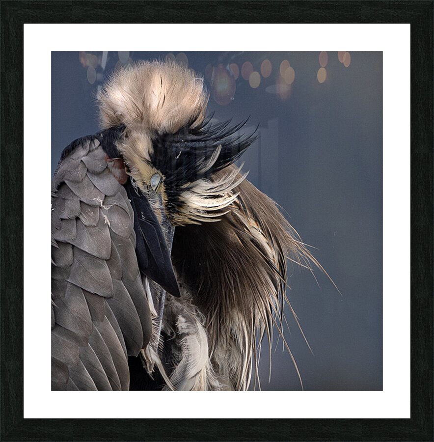 Jacquie Matechuk Picture Frame print