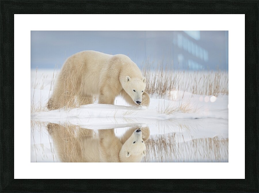 Jacquie Matechuk Picture Frame print