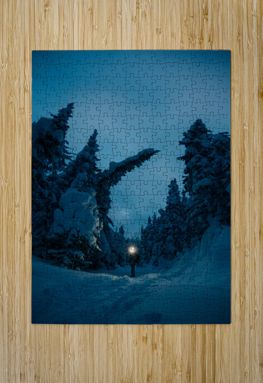 Beatrice Vu Canadian Conservation Photographers Collective Puzzle printing