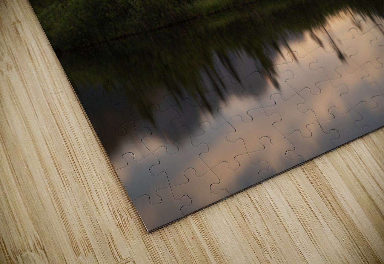 Viktoria Haack Canadian Conservation Photographers Collective Puzzle