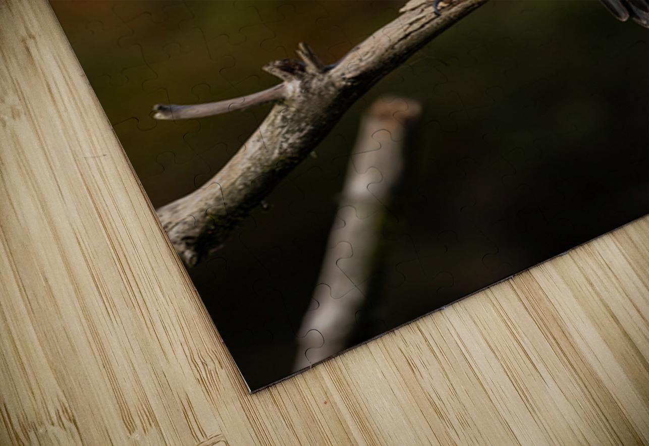 Jacquie Matechuk Canadian Conservation Photographers Collective Puzzle