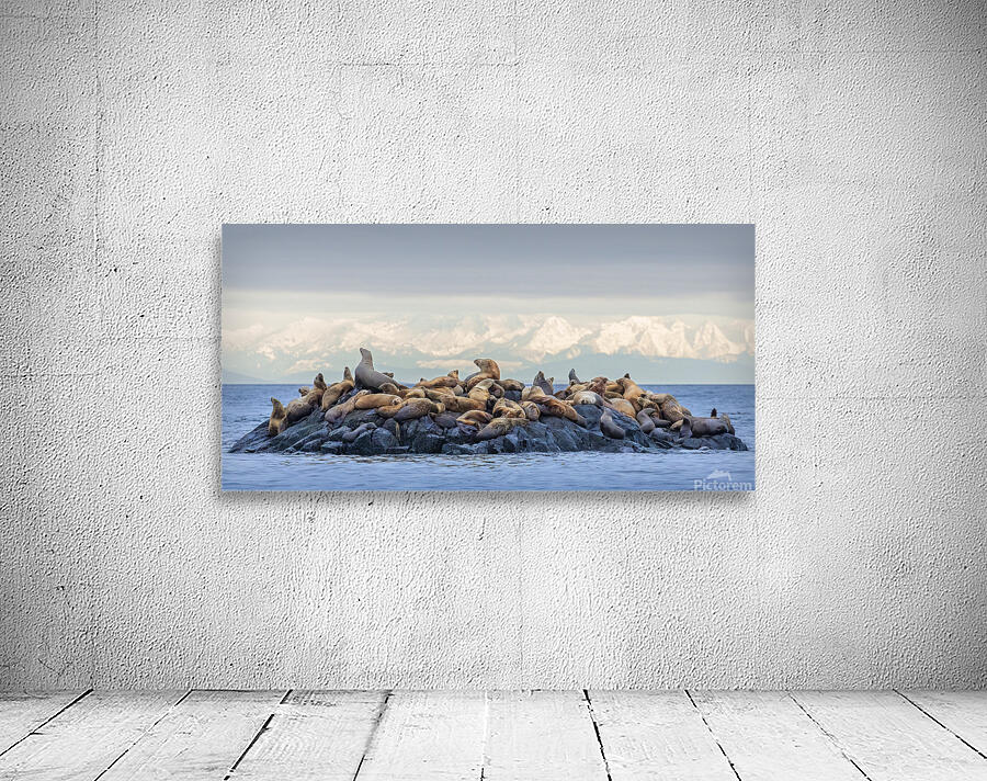 Josh DeLeenheer Wall Preview