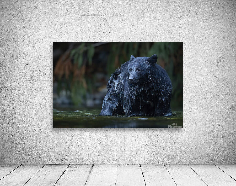 Josh DeLeenheer Wall Preview