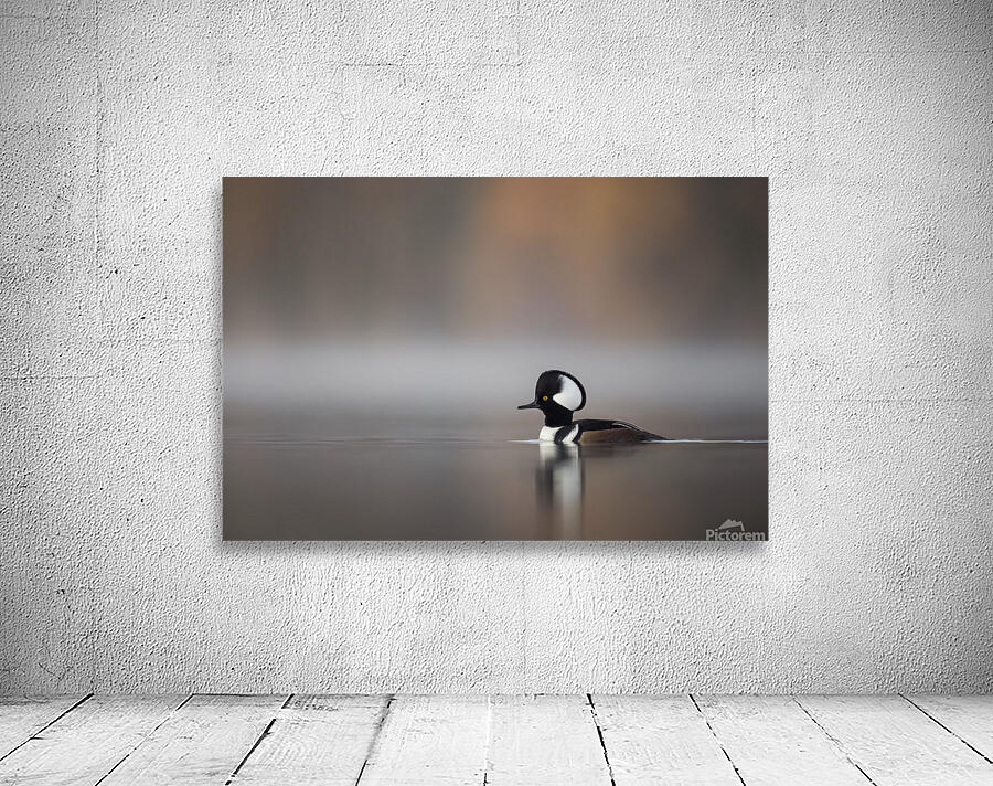 Aaron Todd Wall Preview