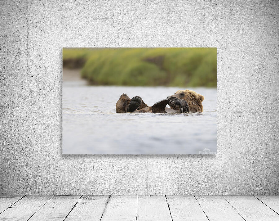 Donna Feledichuk Wall Preview