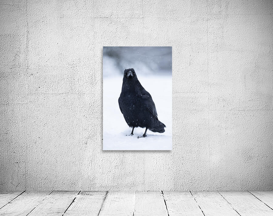 Mark Bernards Wall Preview