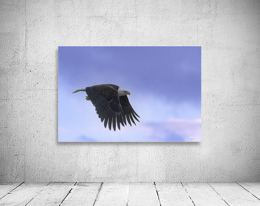 Mark Bernards Wall Preview