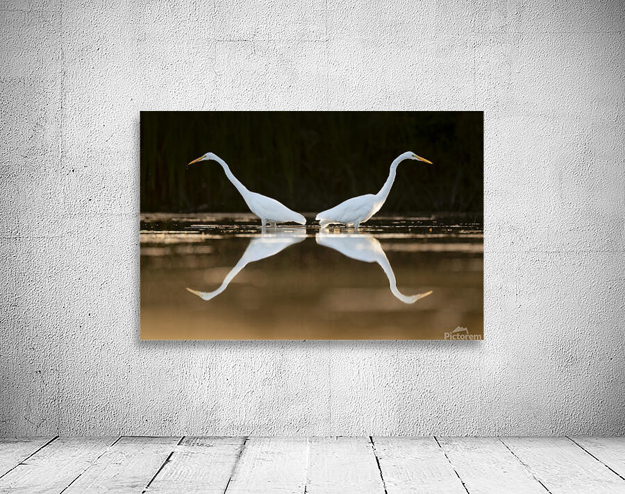 Mark Bernards Wall Preview