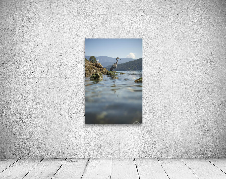 Emma Menchions Wall Preview