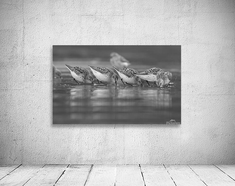 Emma Menchions Wall Preview