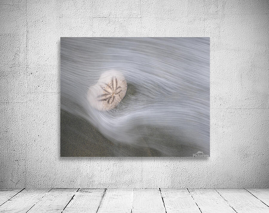 Viktoria Haack Wall Preview