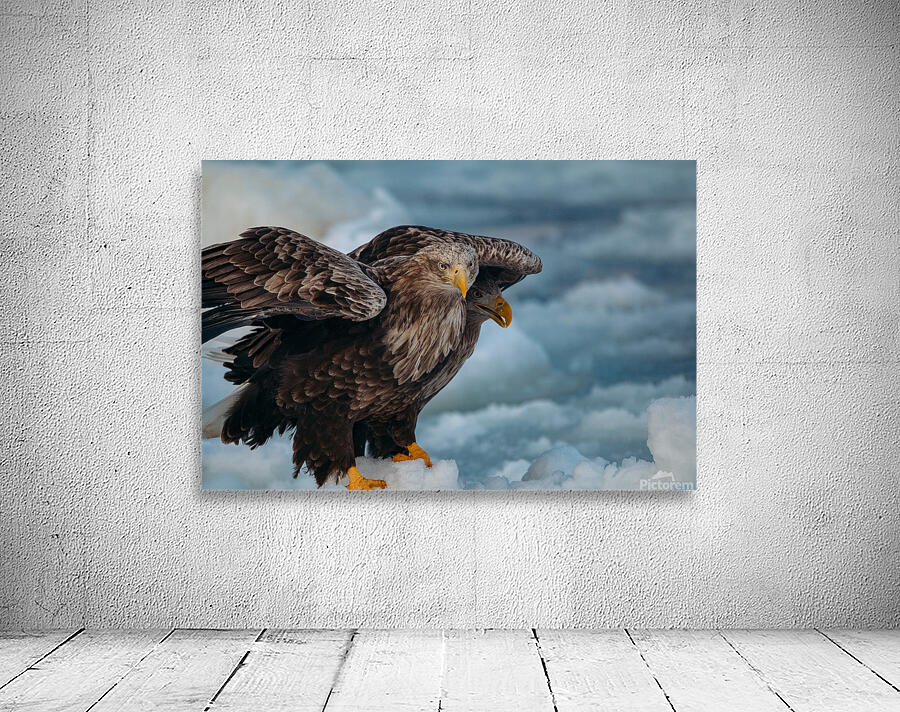 Beatrice Vu Wall Preview