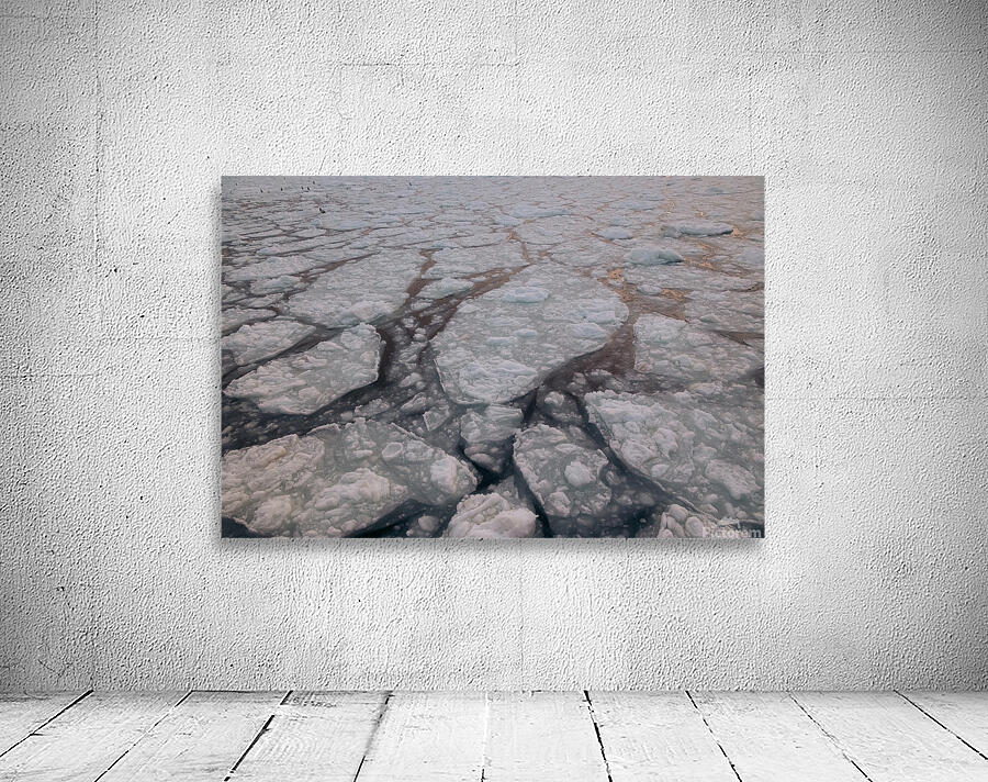 Beatrice Vu Wall Preview