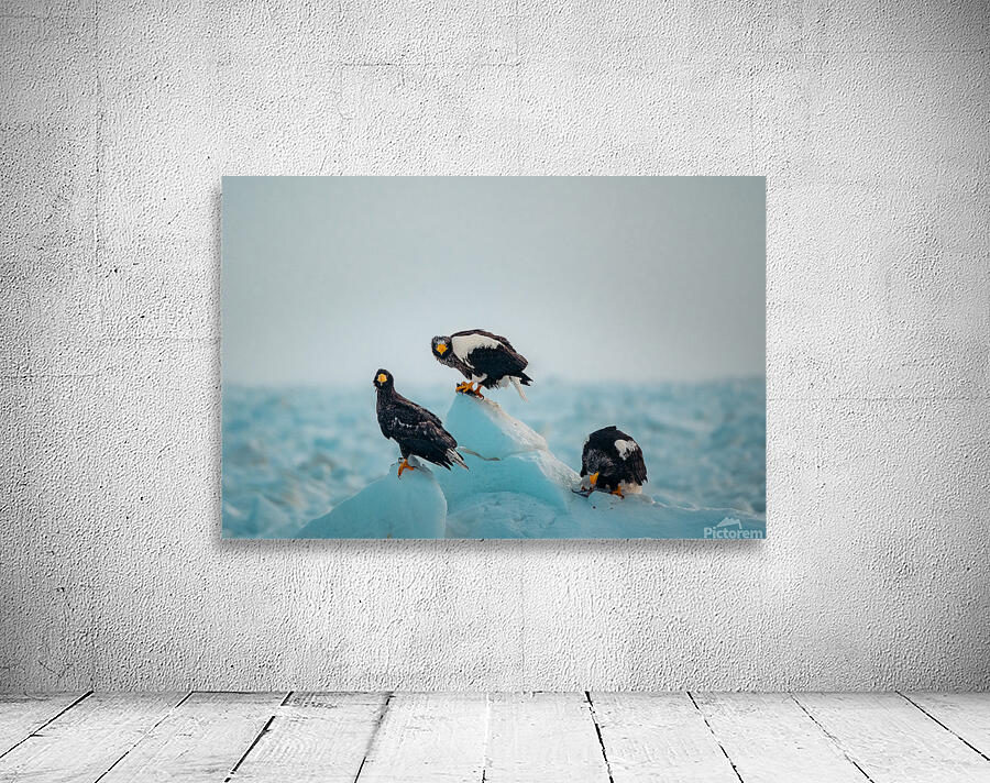 Beatrice Vu Wall Preview