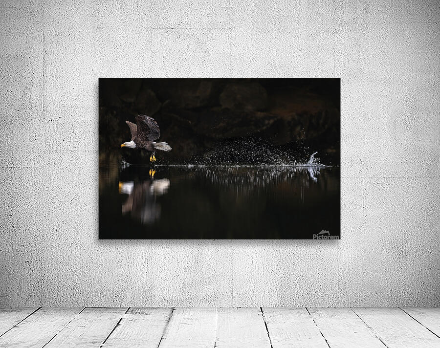 Jacquie Matechuk Wall Preview