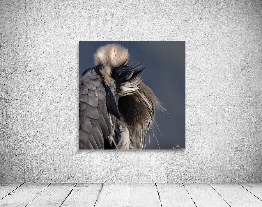 Jacquie Matechuk Wall Preview