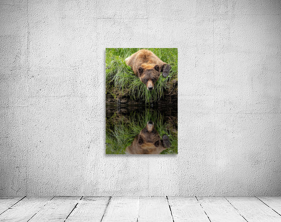 Jacquie Matechuk Wall Preview