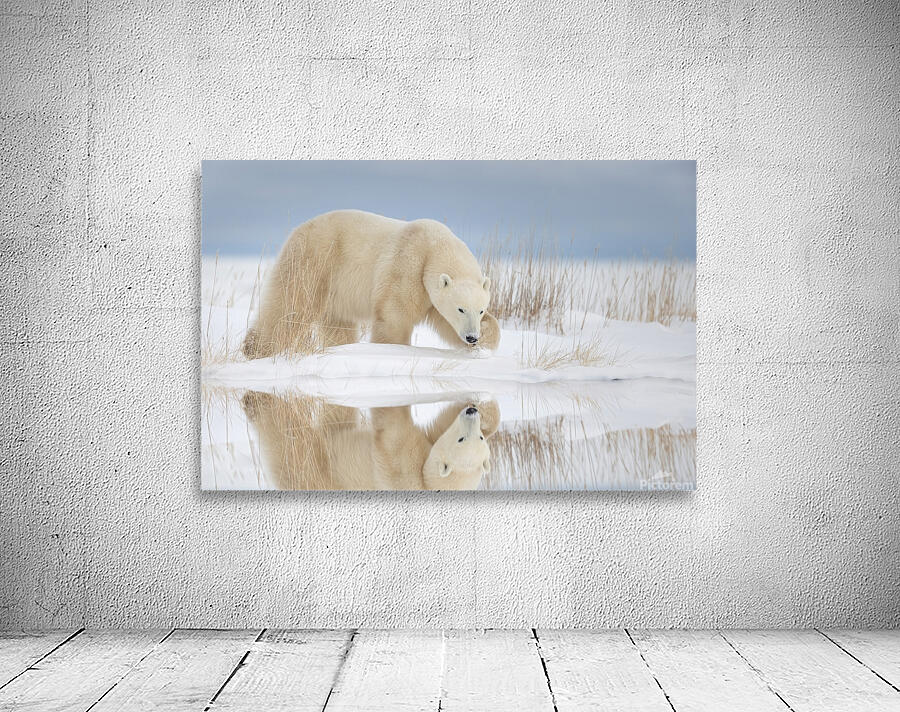 Jacquie Matechuk Wall Preview