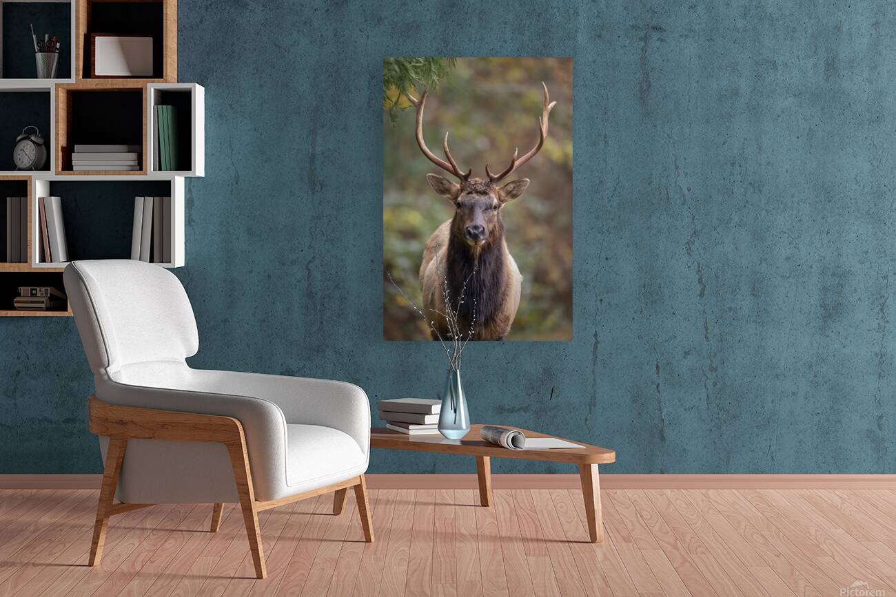 Josh DeLeenheer Reproduction