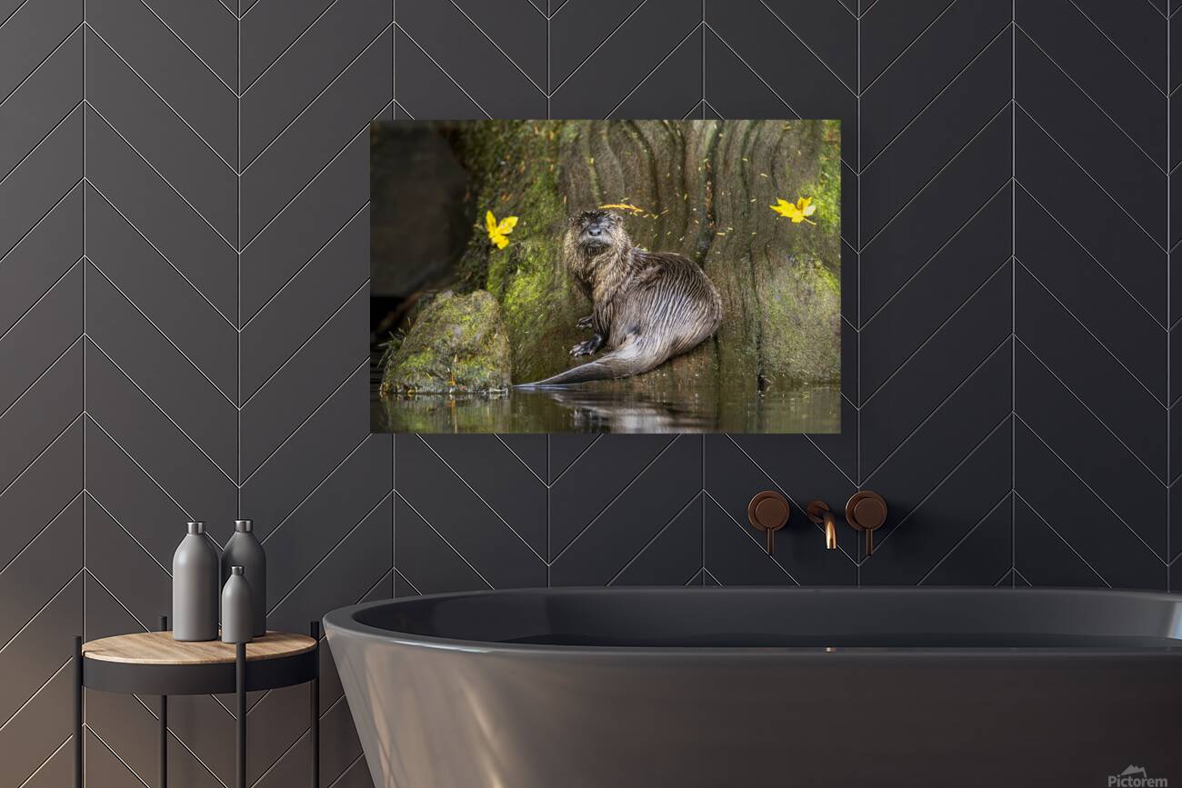 Josh DeLeenheer Reproduction