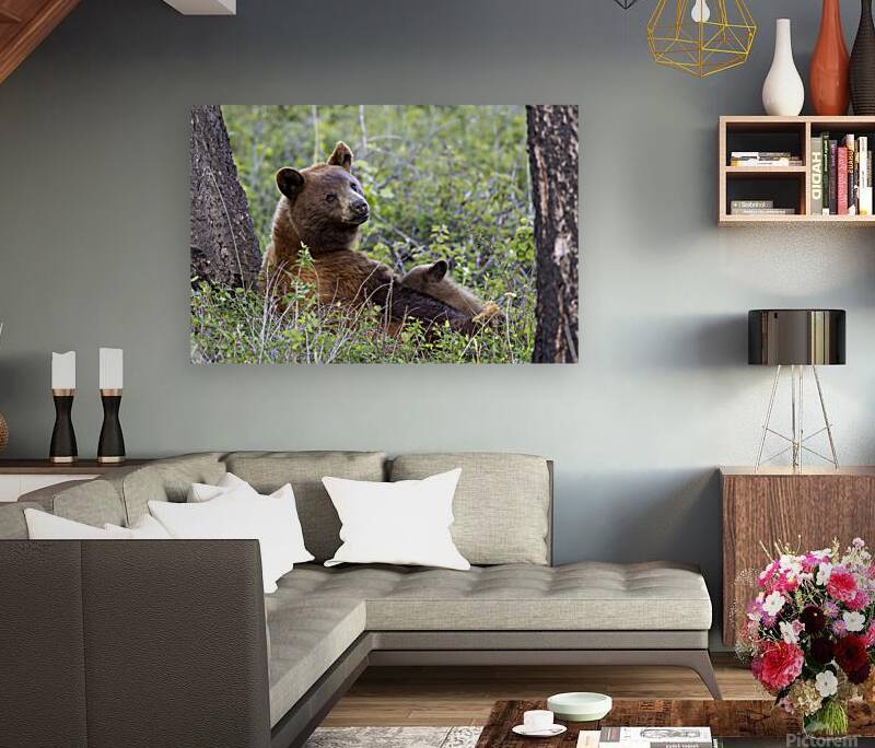 Tim Osborne Reproduction