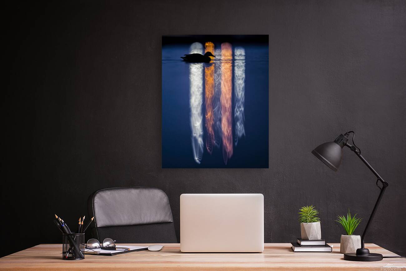 Aaron Todd Reproduction