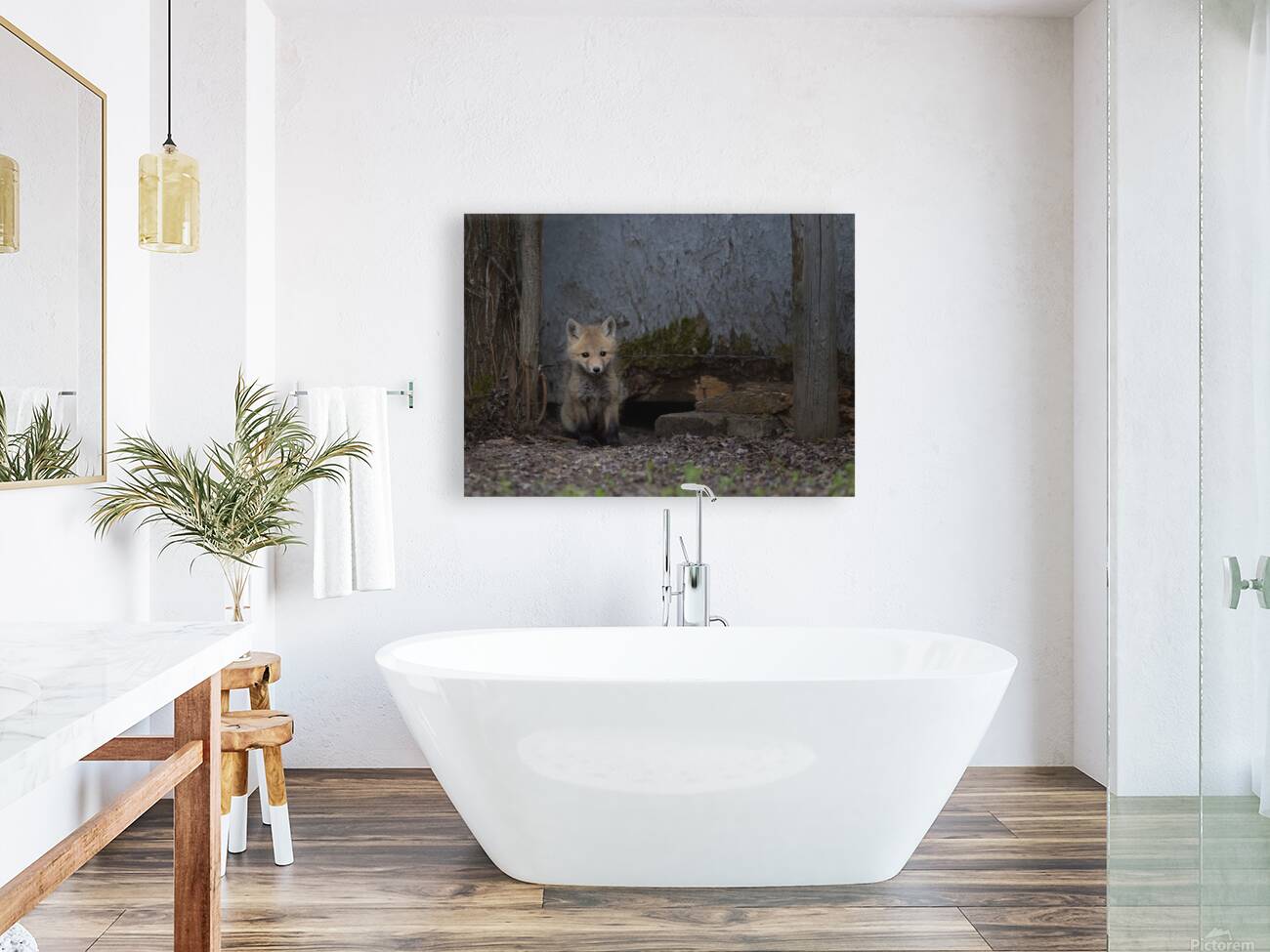 Donna Feledichuk Reproduction