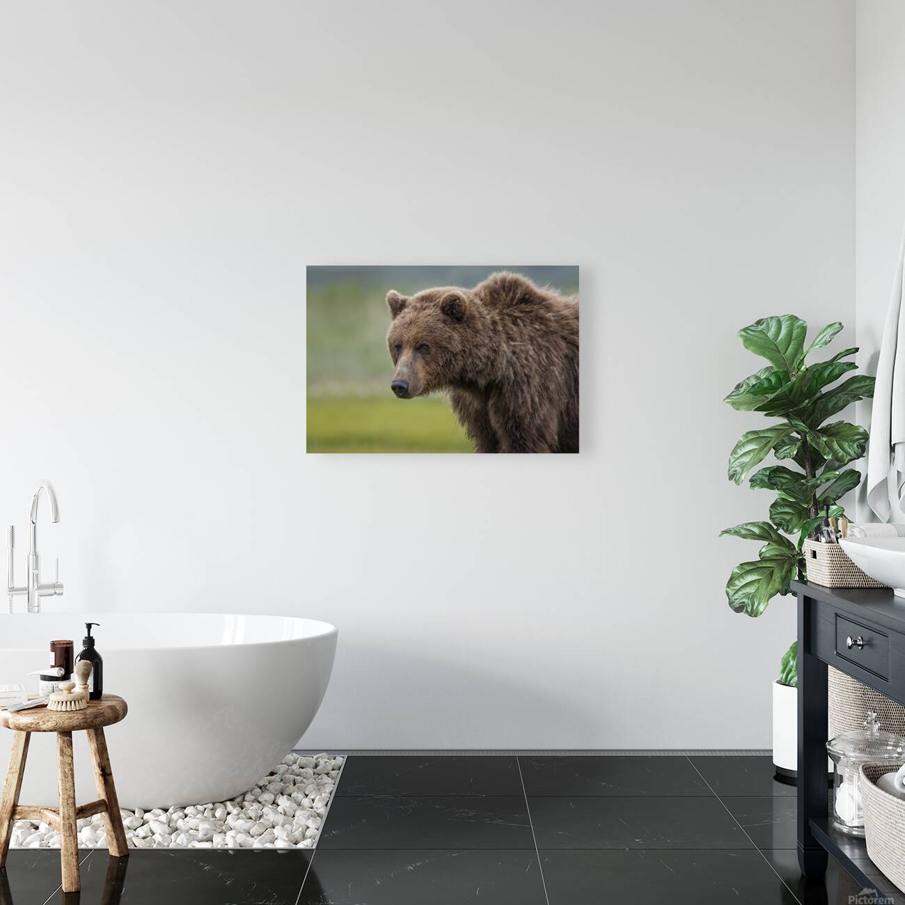 Donna Feledichuk Reproduction