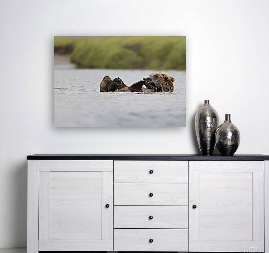 Donna Feledichuk Reproduction