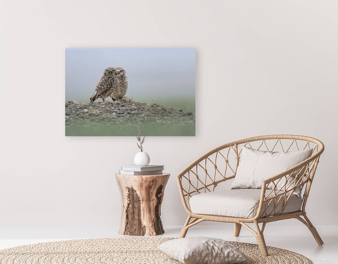 Donna Feledichuk Reproduction