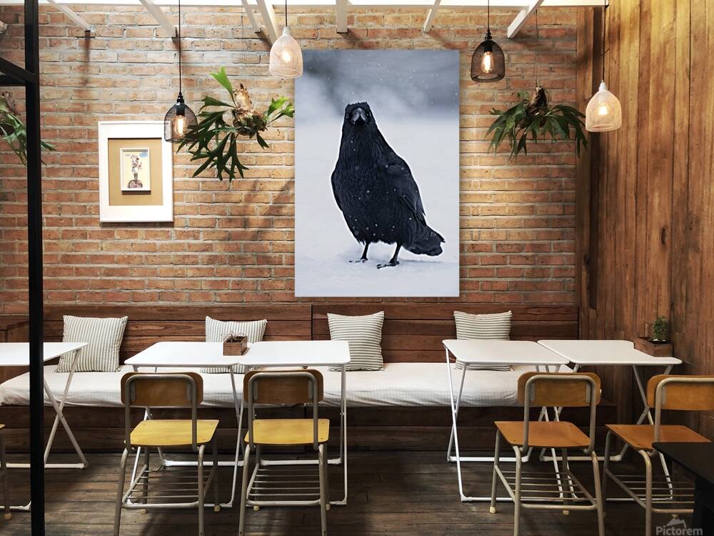 Mark Bernards Reproduction