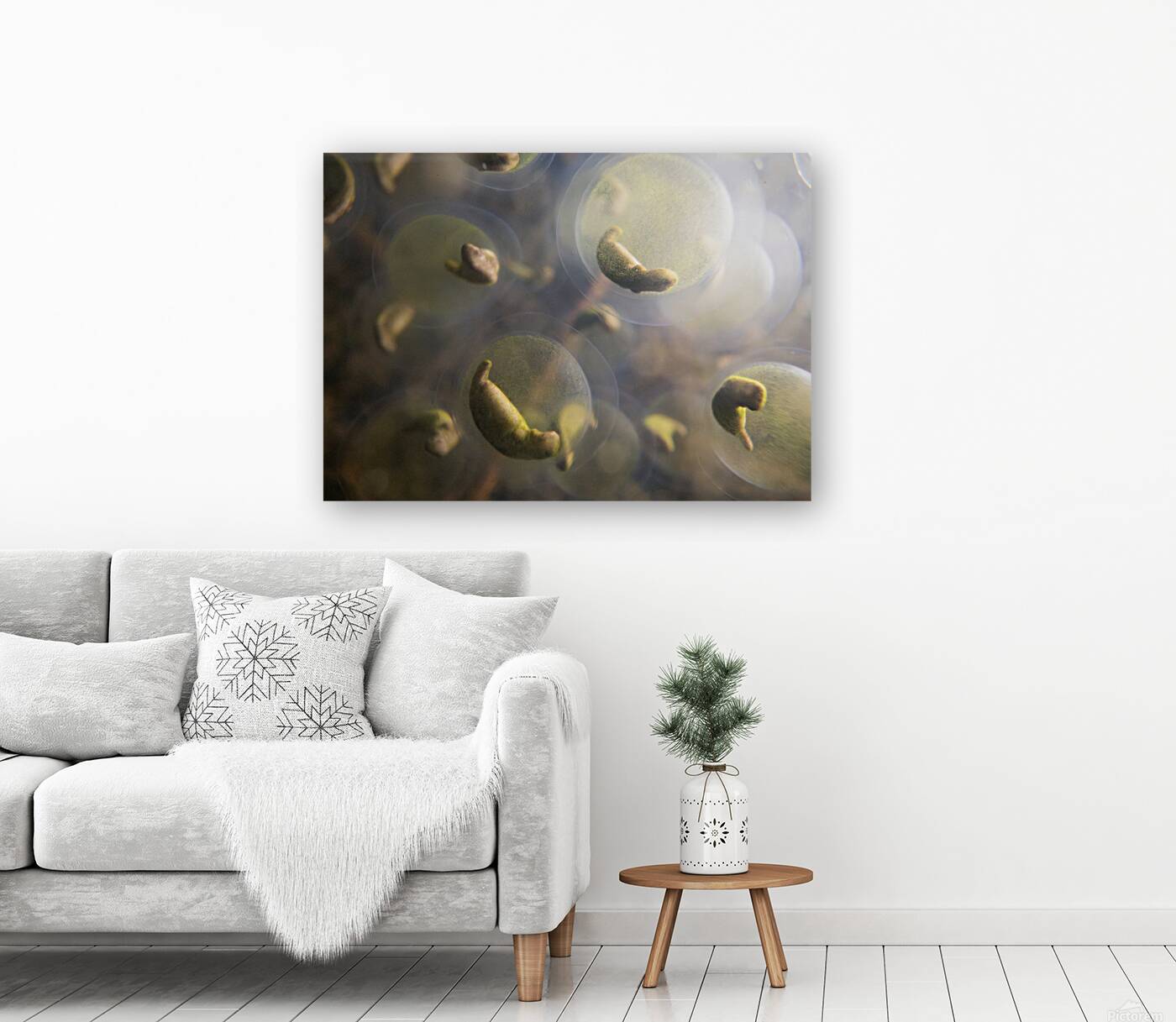 Mark Bernards Reproduction